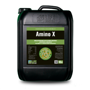 АМІНО X