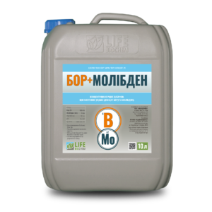 БОР+ МОЛІБДЕН